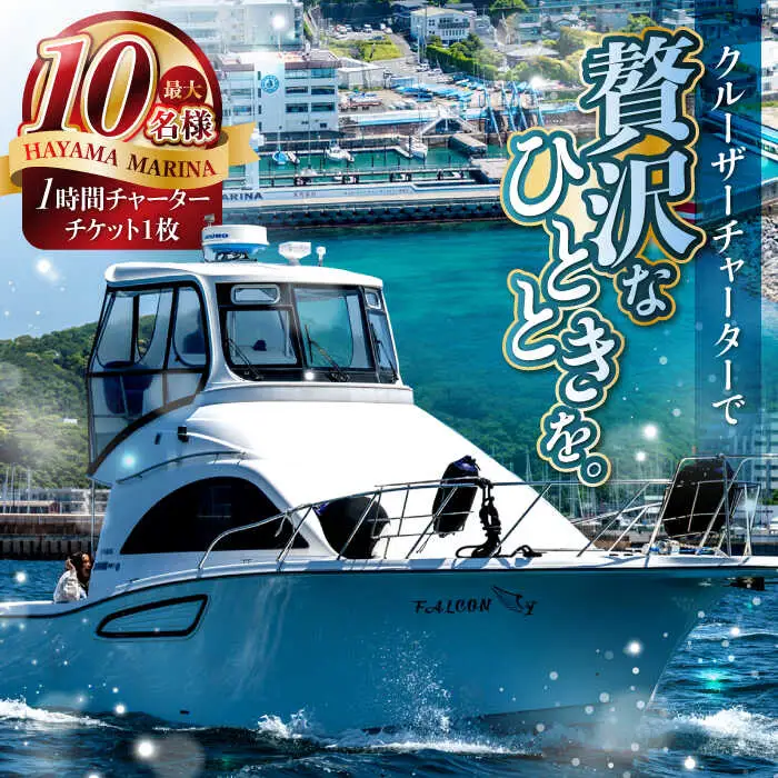 チャータークルーズチケット（10名様分） ／ クルージング クルーズ【(株)葉山マリーナー】 高額 [ASAV001]