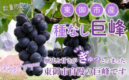【先行受付2026年発送】東御市産 種なし巨峰約2kg（4～5房）　※9月上旬～10月上旬お届け