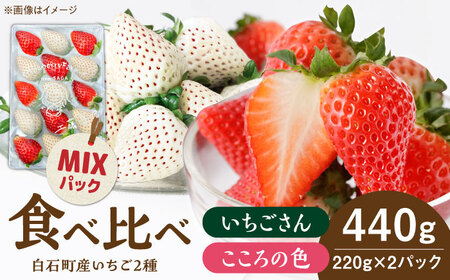 先行予約 2027年1月〜発送  こころの色×いちごさんミックス 紅白いちごセット 計440g / いちご [IBJ026]