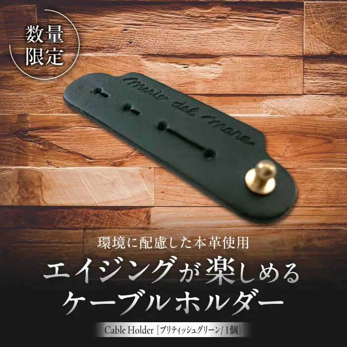 【数量限定】Cable Holder【ブリティッシュグリーン1個】  ／  ケーブルホルダー [ASAZ022]