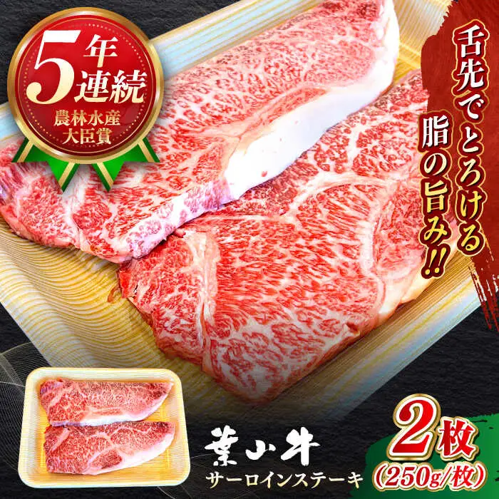 葉山牛 500g　サーロインステーキ ／ サーロイン [ASBD008]