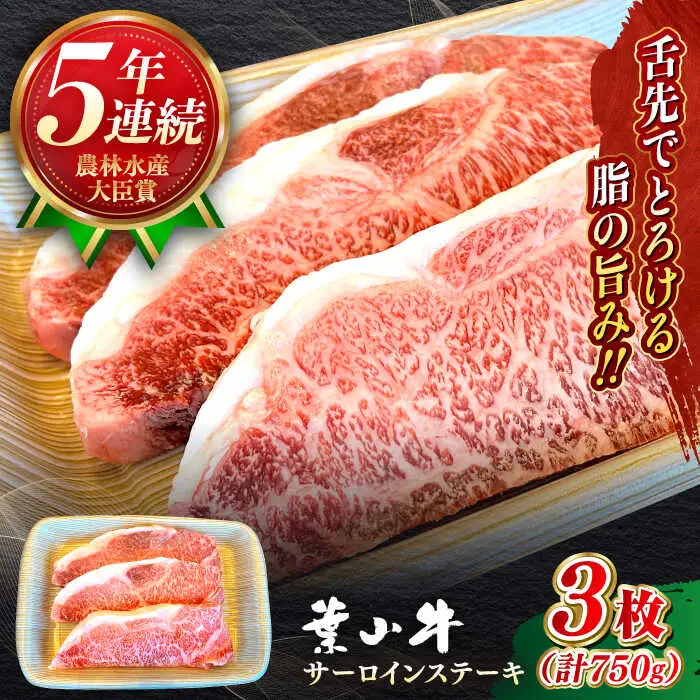 葉山牛サーロインステーキ  750g [ASBD017]