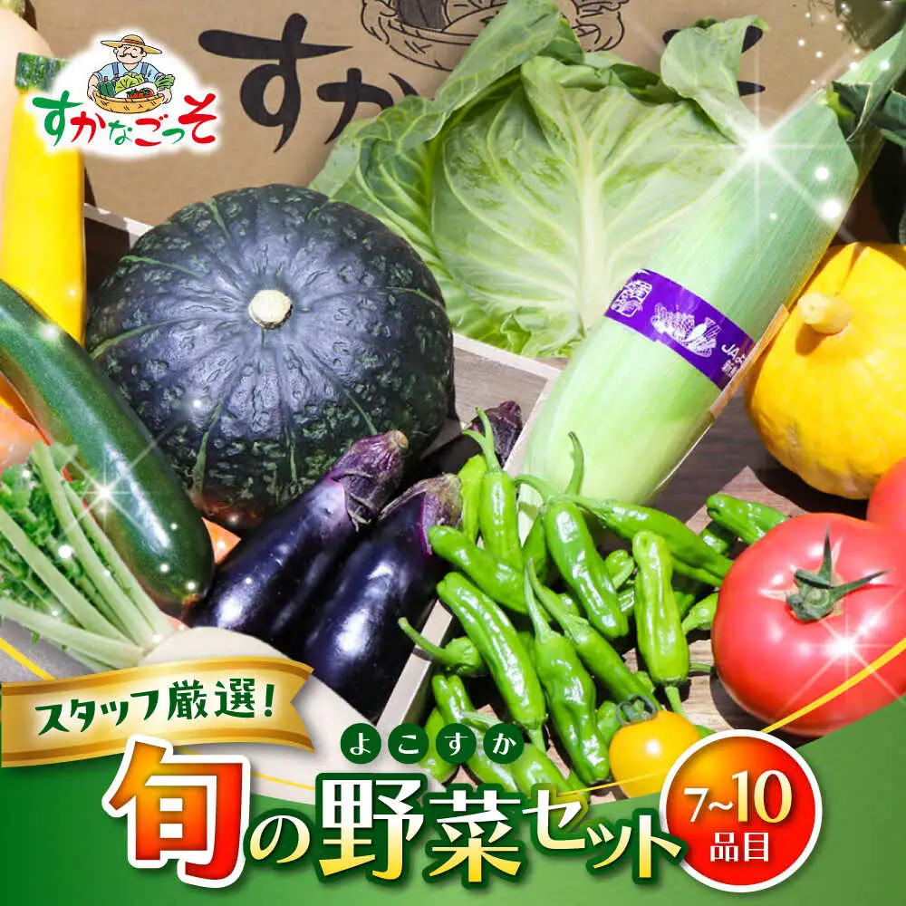 よこすか野菜セット すかなボックス／野菜 [ASCB001]