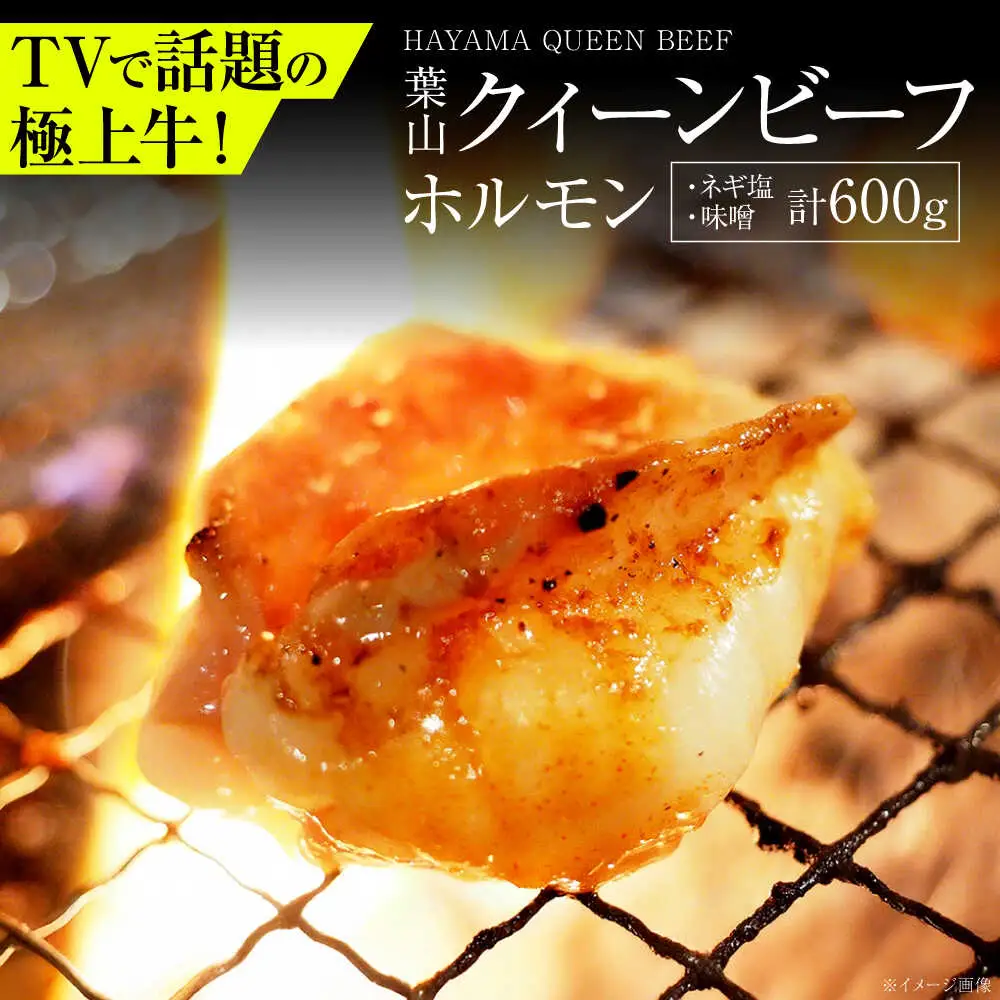 葉山クィーンビーフホルモン味噌味、ネギ塩味 各300g  ／ ホルモン [ASCD014]