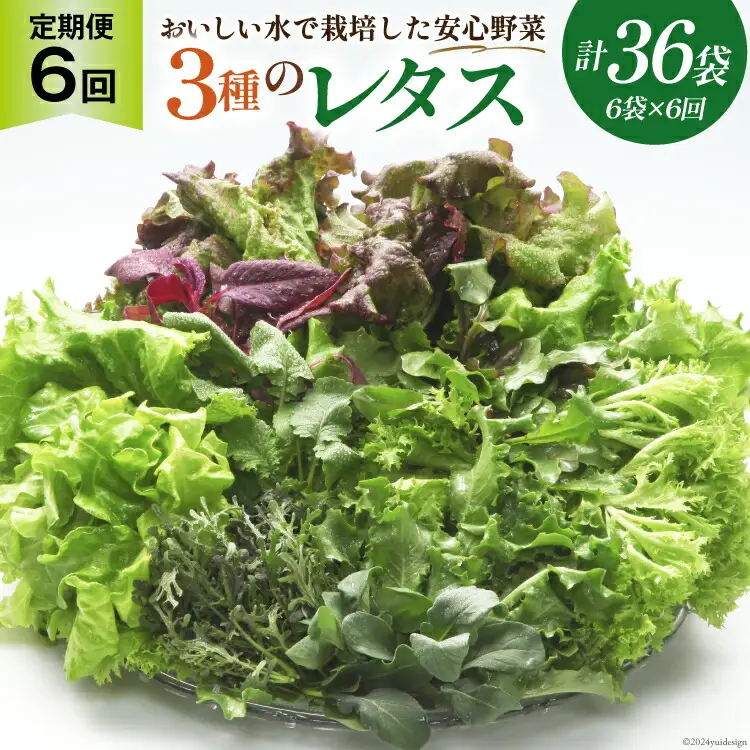 【6回定期便】富山のおいしい水で生産した安心野菜（6袋）