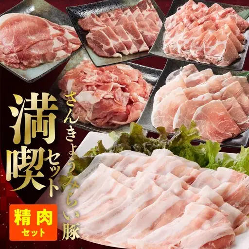 【令和8年10月発送】【いろんな料理にアレンジできちゃう満喫コース】（精肉）さんきょうみらい豚満喫セット | 豚肉