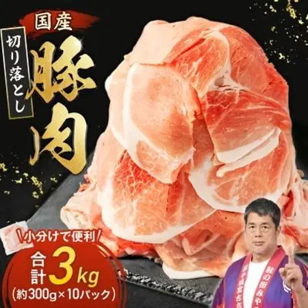 家計応援!国産 豚肉 計3kg!(300g×10P) 豚 切り落とし 小分けで便利【配送不可地域：離島】【1658904】