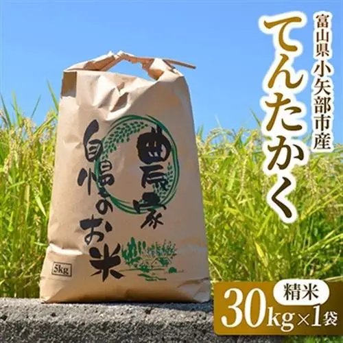 【2026年9月下旬頃から順次発送】令和8年産米「てんたかく」(精米)30kg×1袋【1655833】