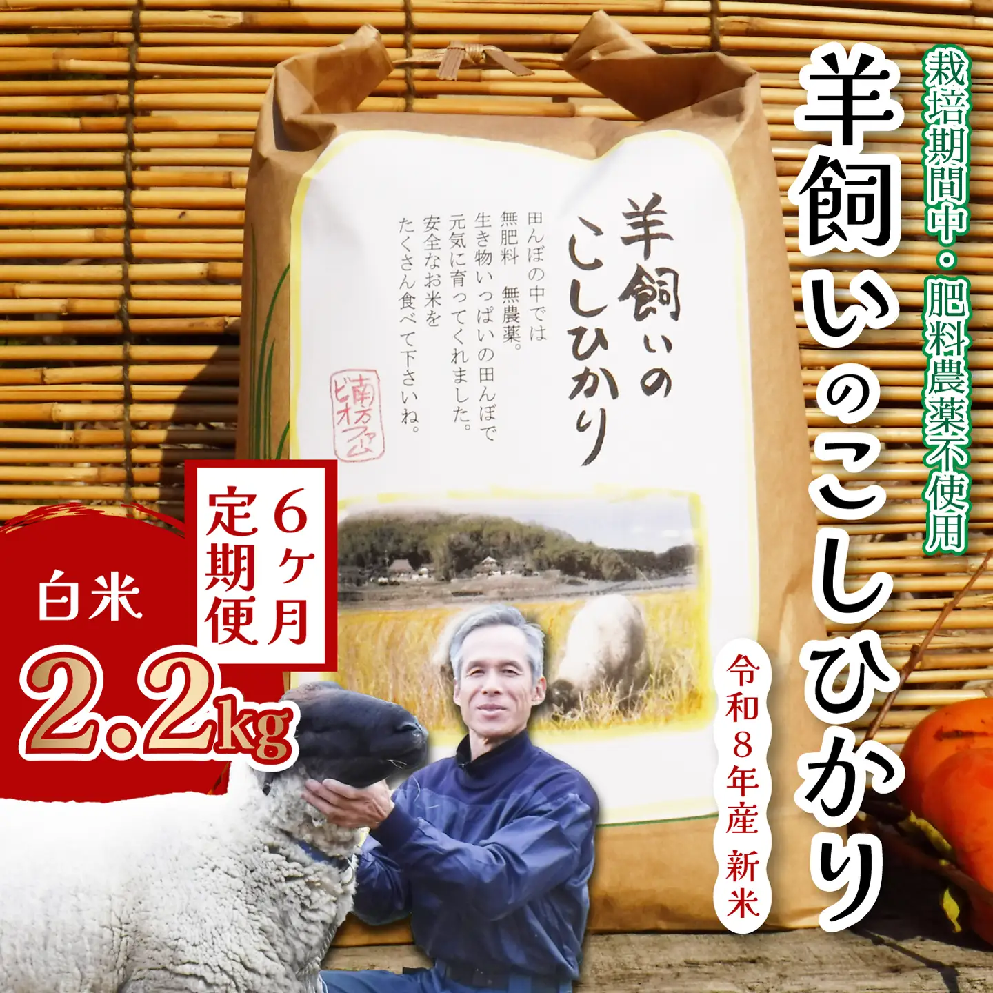 コシヒカリ【6か月定期便】《肥料・農薬：栽培期間中不使用》瀬戸内三原 羊飼いのこしひかり 白米 2.2kg×6回 瀬戸内ビオファーム お米 こめ ご飯 002018