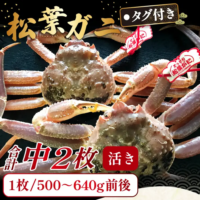 【活き】タグ付き松葉ガニ　中　2枚【松葉ガニ 松葉がに 松葉蟹 まつばがに かに カニ 冷蔵 チルド ブランド ズワイガニ 活き お祝い 冬 国産 季節限定 お取り寄せ 鳥取県 日吉津村 日本海】