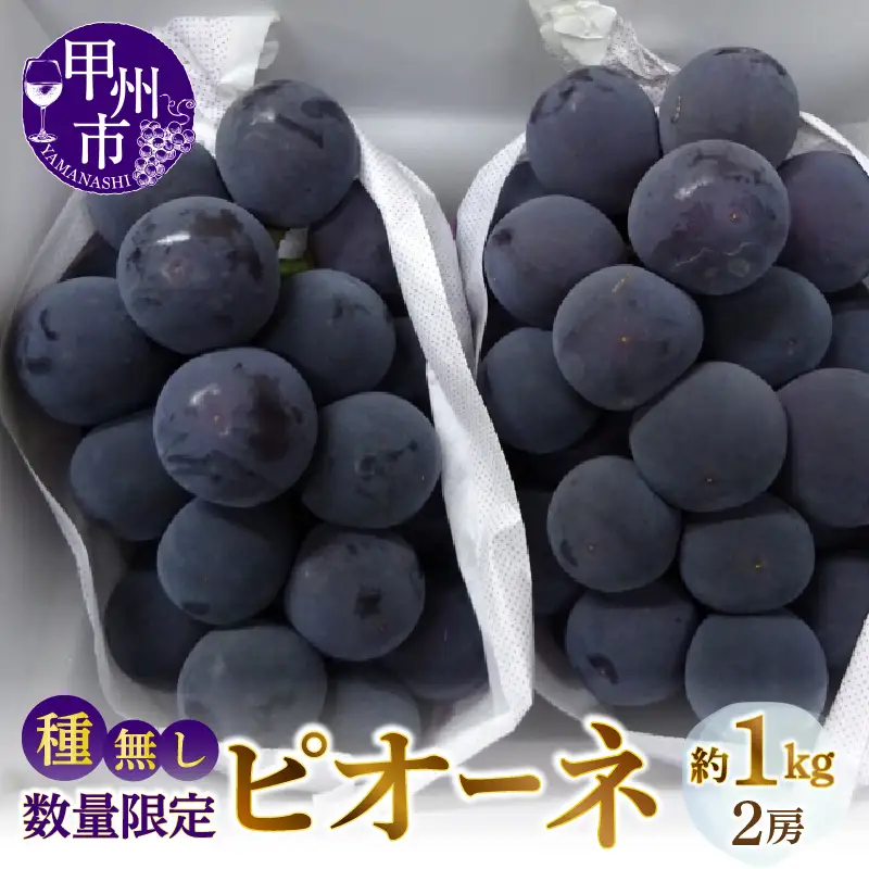 甲州市産 種なしピオーネ 約1kg【2027年発送】（MG）B-882【ピオーネ フルーツ】