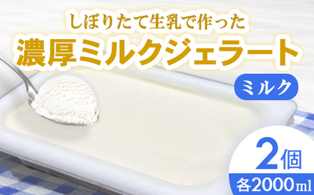 しぼりたて生乳で作った濃厚ミルクジェラート（2000ml×2個） ジェラート シャーべット アイスクリーム アイス 生乳 ミルク ジェラート 大容量 クリーミー デザート 氷菓子 スイーツ 濃厚 冷凍 パーティー 佐賀県 太良町 P117