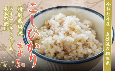 玄米 【5kg】 令和7年産 コシヒカリ 特別栽培米 【みのり農園】7-21A