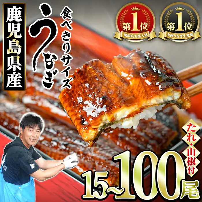 ＜食べきりサイズ！＞東串良町のうなぎ蒲焼(無頭)(15尾・計1500g・タレ、山椒付) うなぎ 高級 ウナギ 鰻 国産 蒲焼 蒲焼き たれ 鹿児島 ふるさと 人気 【アクアおおすみ】【0554327a】
