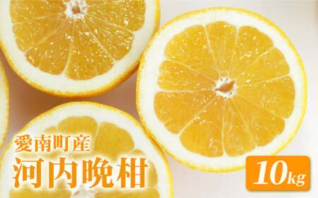 山口農園 河内晩柑 10kg 愛南ゴールド 河内晩柑 柑橘 みかん 愛媛県 愛南町
