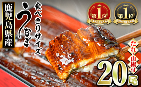 ＜食べきりサイズ！＞東串良町のうなぎ蒲焼(無頭)(20尾・計2000g・タレ、山椒付) うなぎ 高級 ウナギ 鰻 国産 蒲焼 蒲焼き たれ 鹿児島 ふるさと 人気 【アクアおおすみ】【0734328a】