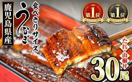 ＜食べきりサイズ！＞東串良町のうなぎ蒲焼(無頭)(30尾・計3000g・タレ、山椒付) うなぎ 高級 ウナギ 鰻 国産 蒲焼 蒲焼き たれ 鹿児島 ふるさと 人気 【アクアおおすみ】【1084329a】