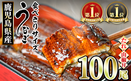 ＜食べきりサイズ！＞東串良町のうなぎ蒲焼(無頭)(100尾・計10000g・タレ、山椒付) うなぎ 高級 ウナギ 鰻 国産 蒲焼 蒲焼き たれ 鹿児島 ふるさと 人気 【アクアおおすみ】【3344331a】