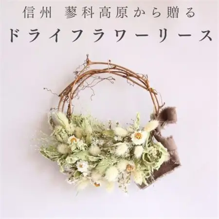 信州八ヶ岳の麓から贈るドライフラワーリース Sハーフ(グリーン)【1659526】
