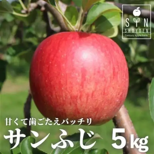 りんご サンふじ 5kg 令和8年 産 松陽園 岩手県 遠野市 2026年12月上旬発送予定【配送不可地域：離島】【1367339】