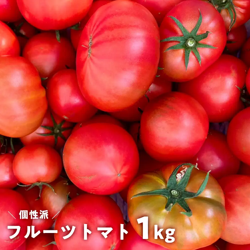 フルーツトマト 1kg 高知県産 個性派 産地直送
