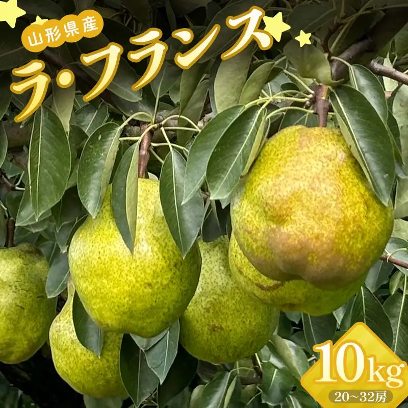 山形県産 ラ・フランス 秀品 10kg（5kg×2）20～32玉 FSY-2255