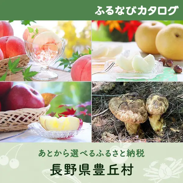 【有効期限なし！後からゆっくり特産品を選べる】長野県豊丘村カタログポイント