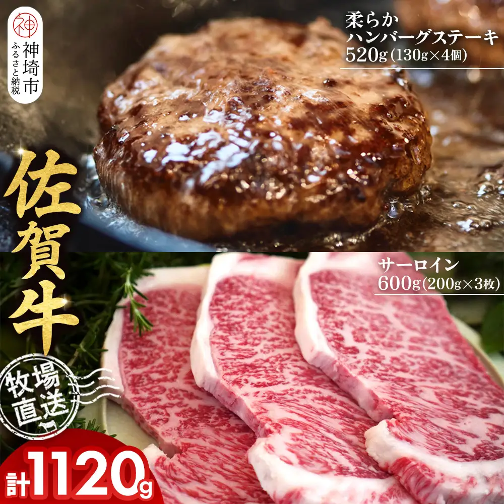 佐賀牛 サーロインステーキ3枚 柔らかハンバーグステーキ4個(H122127)