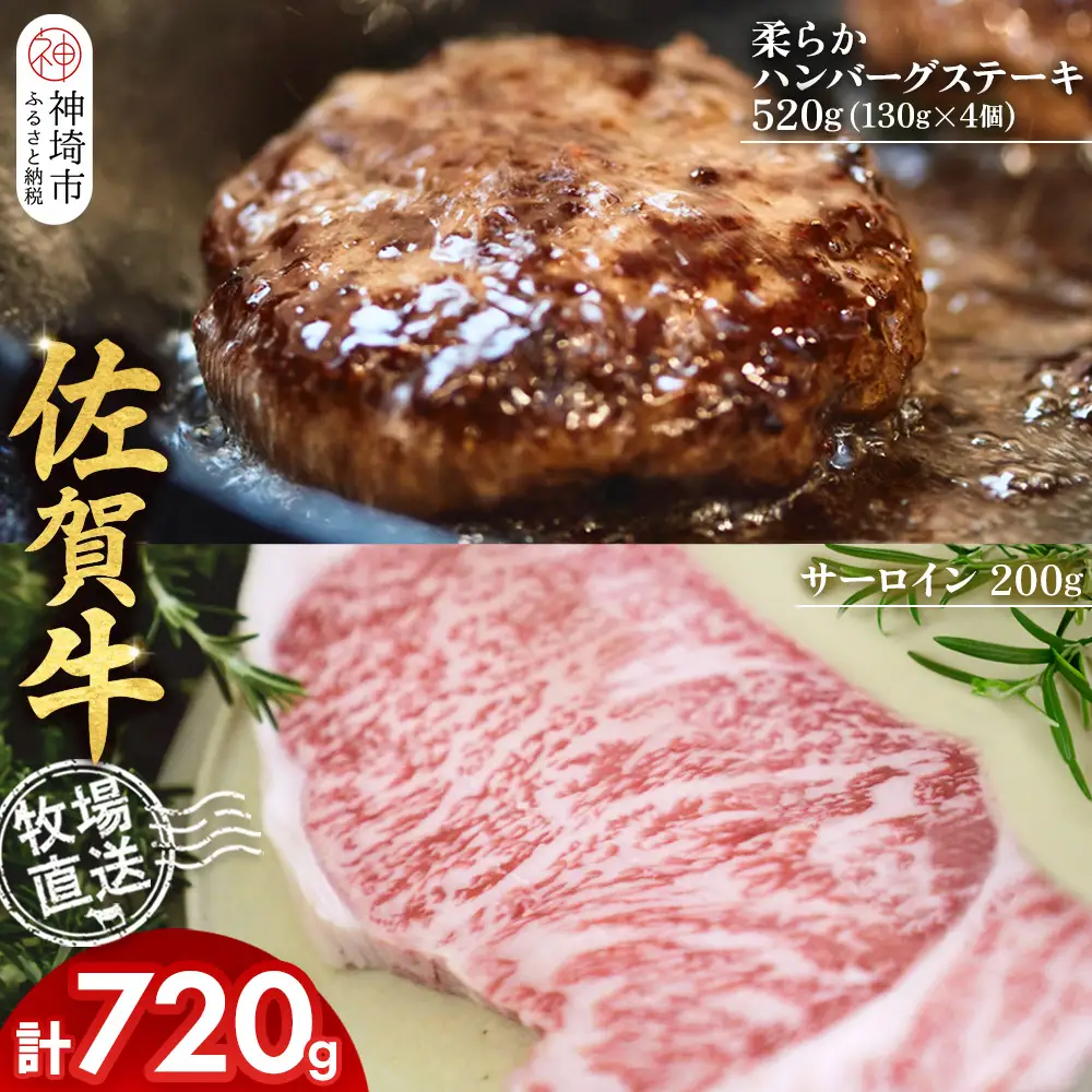 佐賀牛 サーロインステーキ1枚 柔らかハンバーグステーキ4個(H122129)