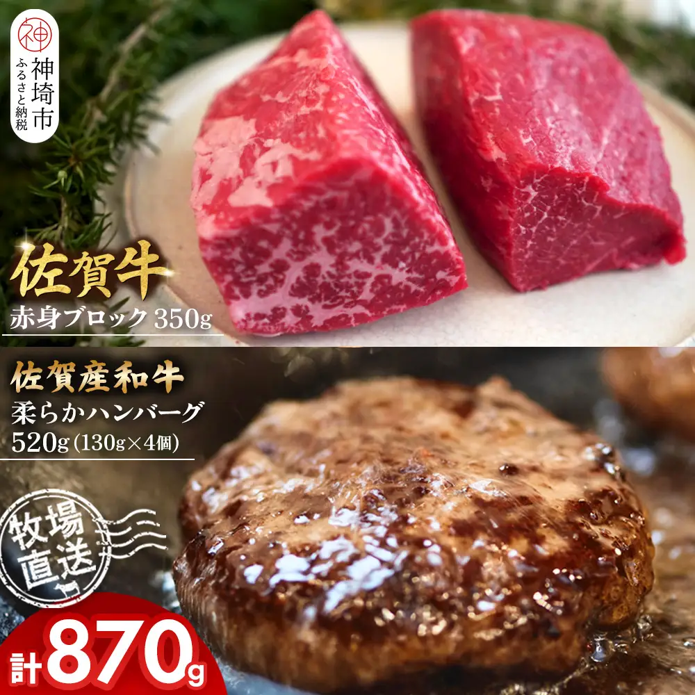 佐賀牛 赤身ブロック350g・柔らかハンバーグ4個(H122106)