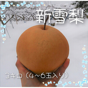 新雪梨 3kg【まえた農園】