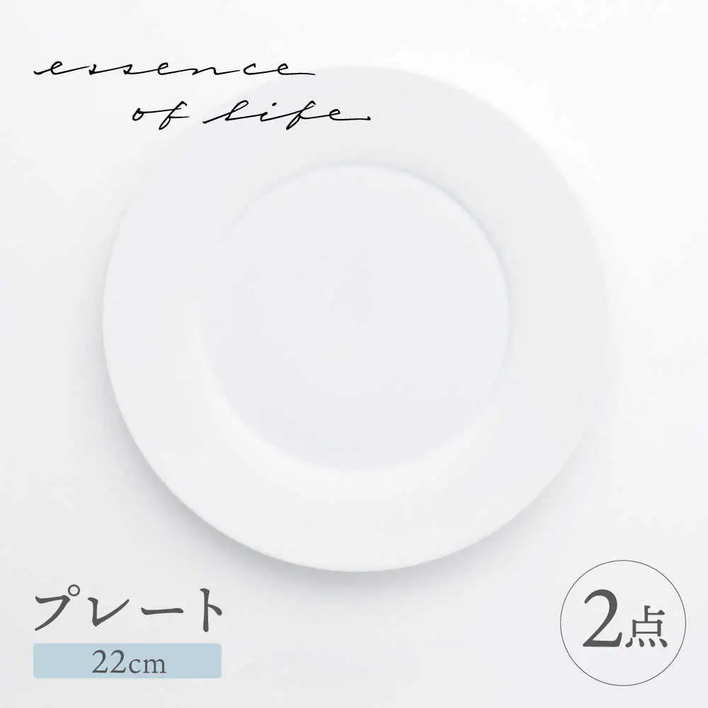 【波佐見焼】【essence】agasuke プレート 〈22cm〉 2点【西海陶器】[OA448]