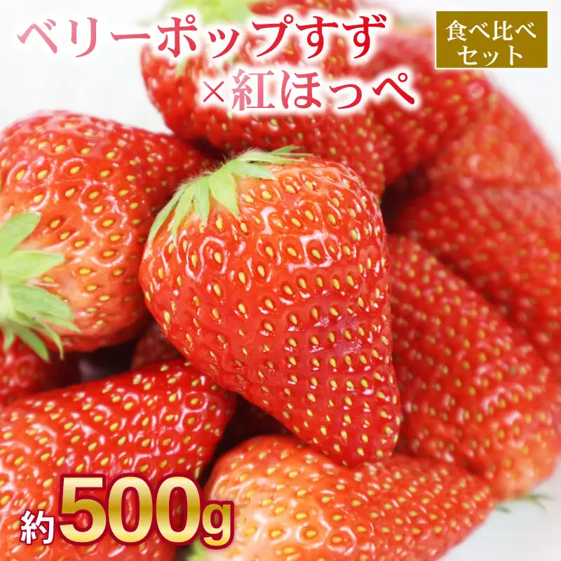 いちご 【期間限定】 ベリーポップすず スターナイト 500g | いちご