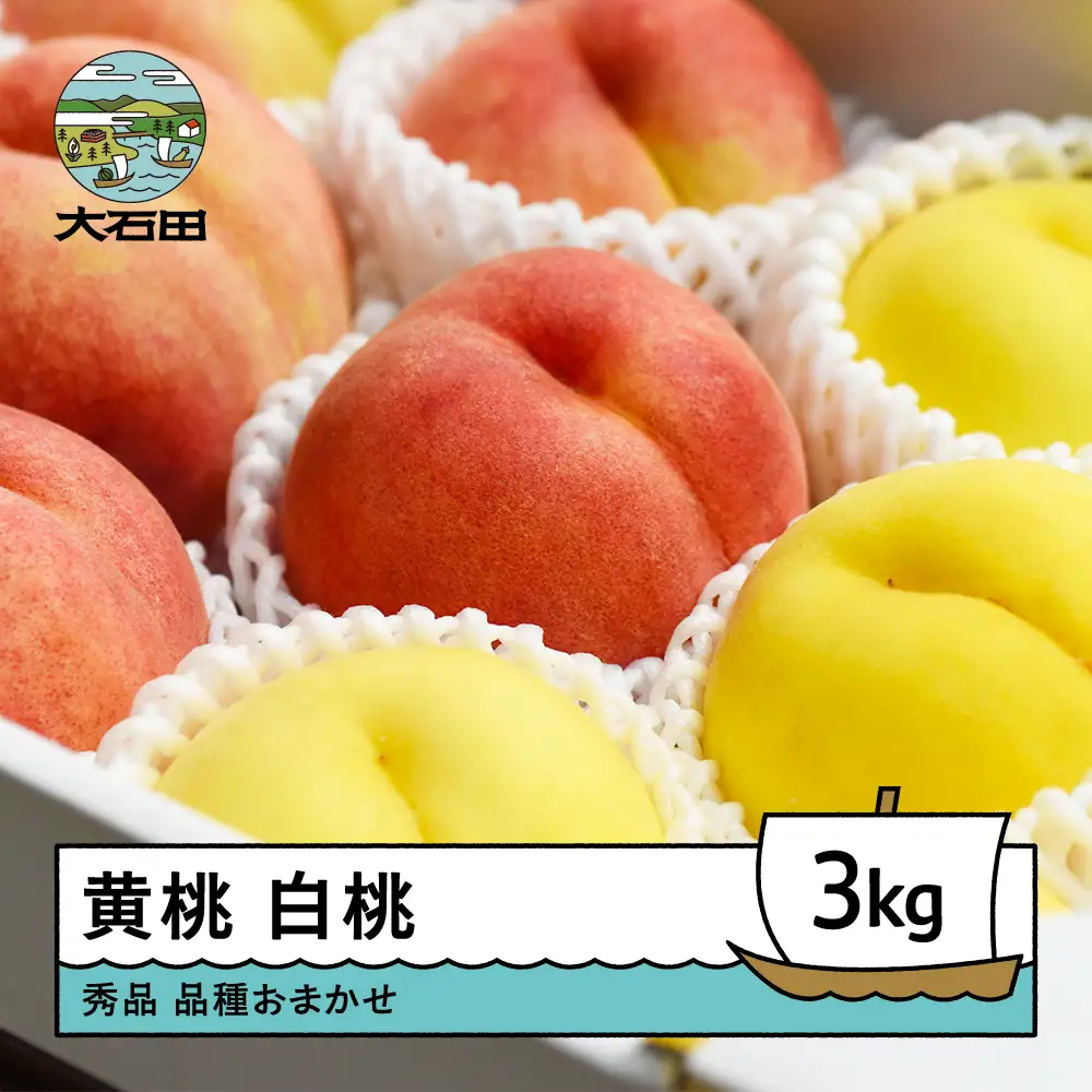 【先行予約】もも 黄桃&白桃 品種おまかせ 計3kg 令和8年産 2026年産  ※沖縄・離島への配送不可 ry-mohot3000