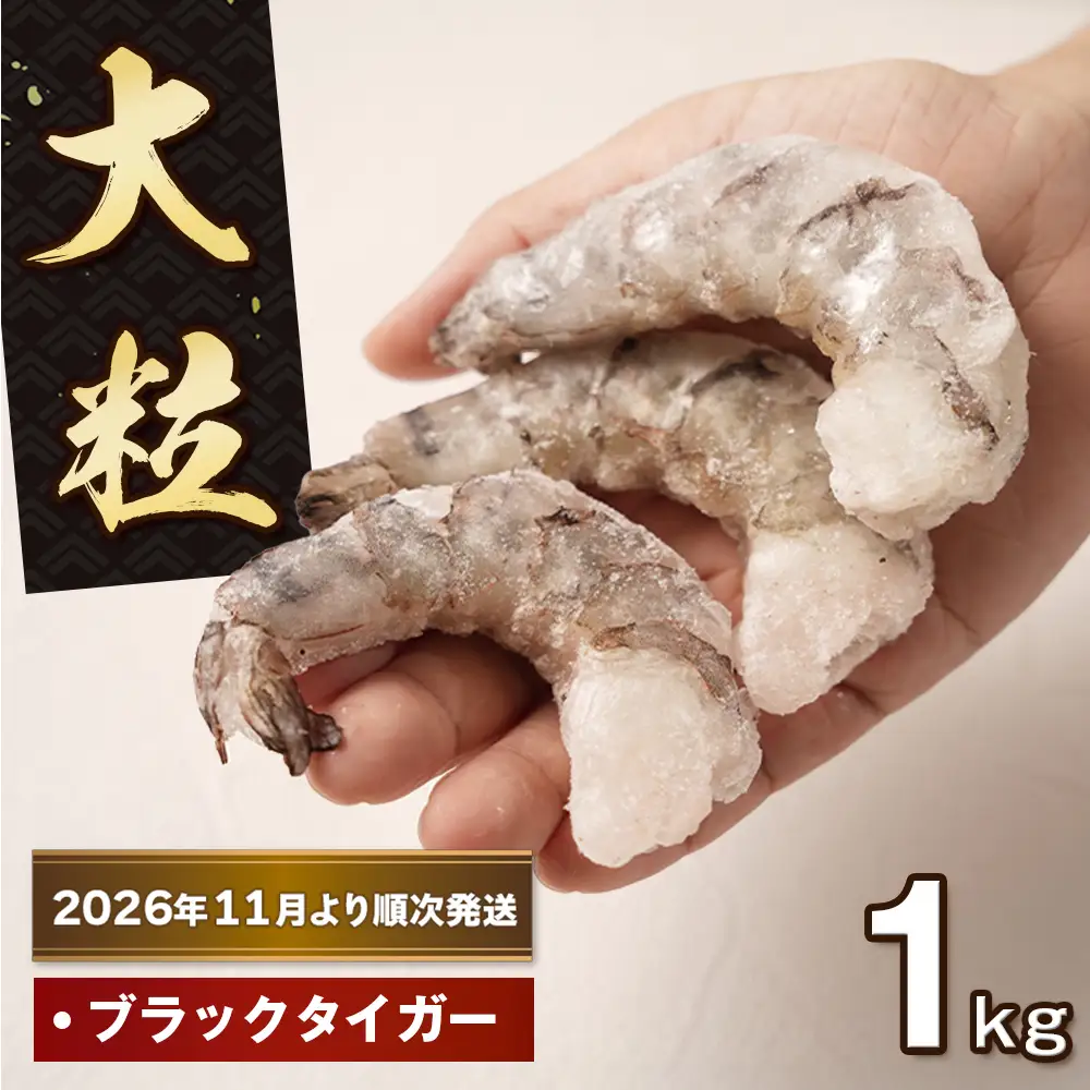 至福の大粒 むきえび　背ワタ処理済 1kg【2026年11月より順次発送】　えび