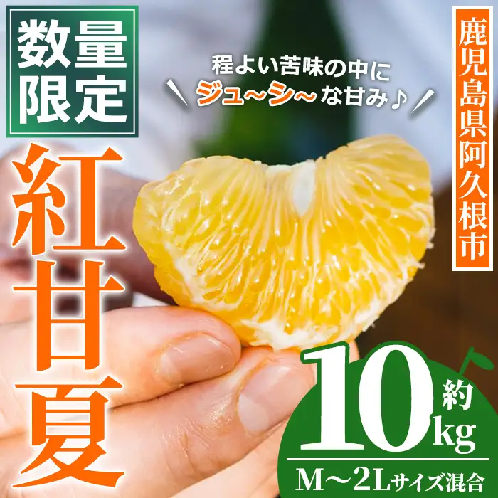 ＜先行予約受付中！2027年3月上旬以降順次発送予定＞ 数量限定！鹿児島県産 紅甘夏 (約10kg・M～2L) 柑橘 フルーツ 果物 国産 みかん 期間限定 数量限定 ベニアマナツ ミカン 旬 【株式会社土曜日】akn069-15