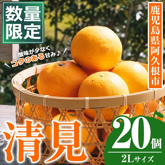 ＜先行予約受付中！2027年3月中旬以降順次発送予定＞数量限定！鹿児島県産 清見 (20個・2L) 柑橘 フルーツ 果物 国産 みかん 期間限定 きよみ キヨミ ミカン【株式会社土曜日】akn069-09
