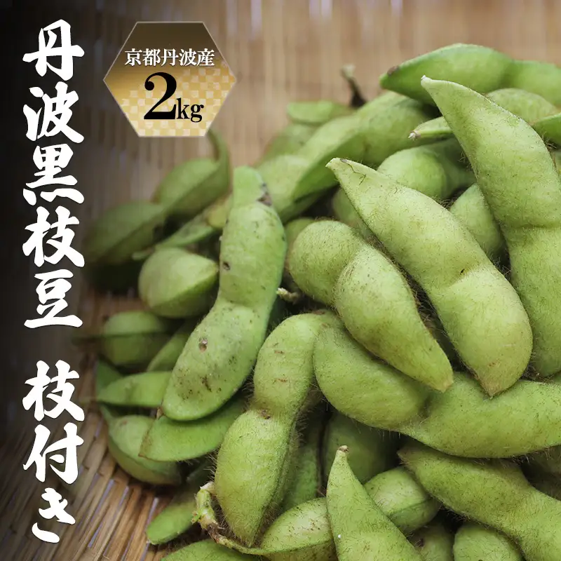 枝豆 丹波黒枝豆 枝付き 2kg 枝豆