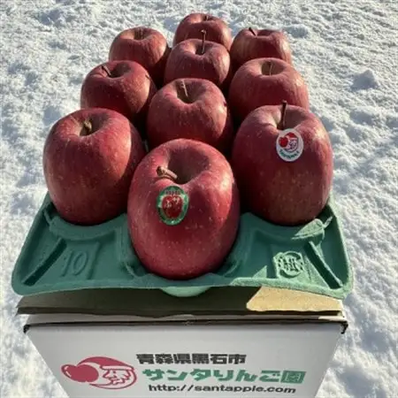 りんごと言えば、本場青森県産サンふじ　贈答用　約3kg　9個前後入り　農家直送　蜜入り期待大!【配送不可地域：離島】【1654735】