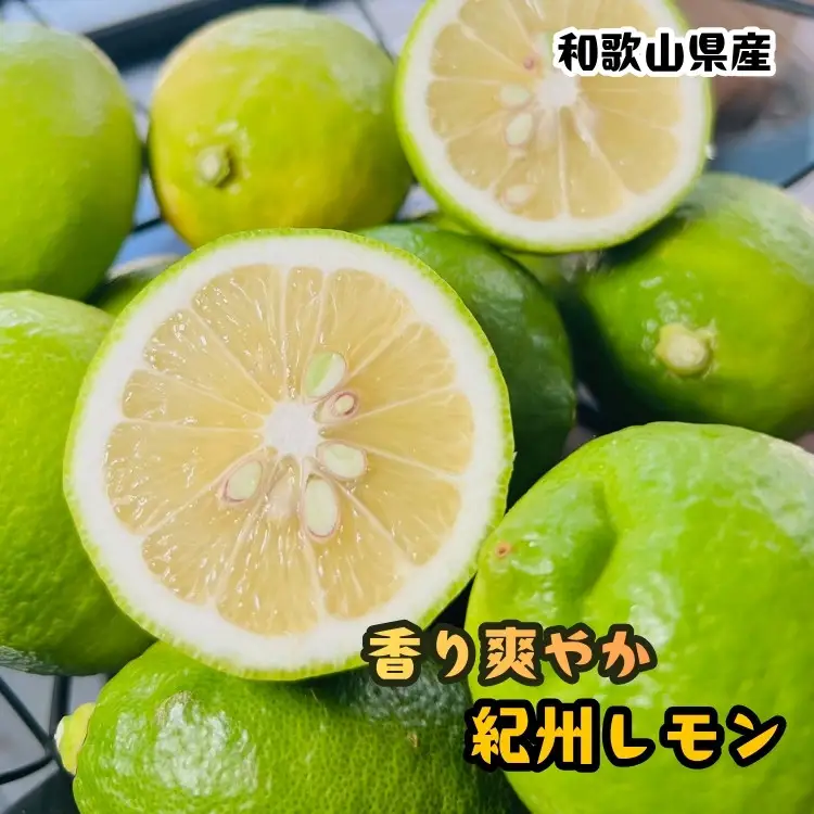 農家直送 紀州 レモン 約3kg［MS122］