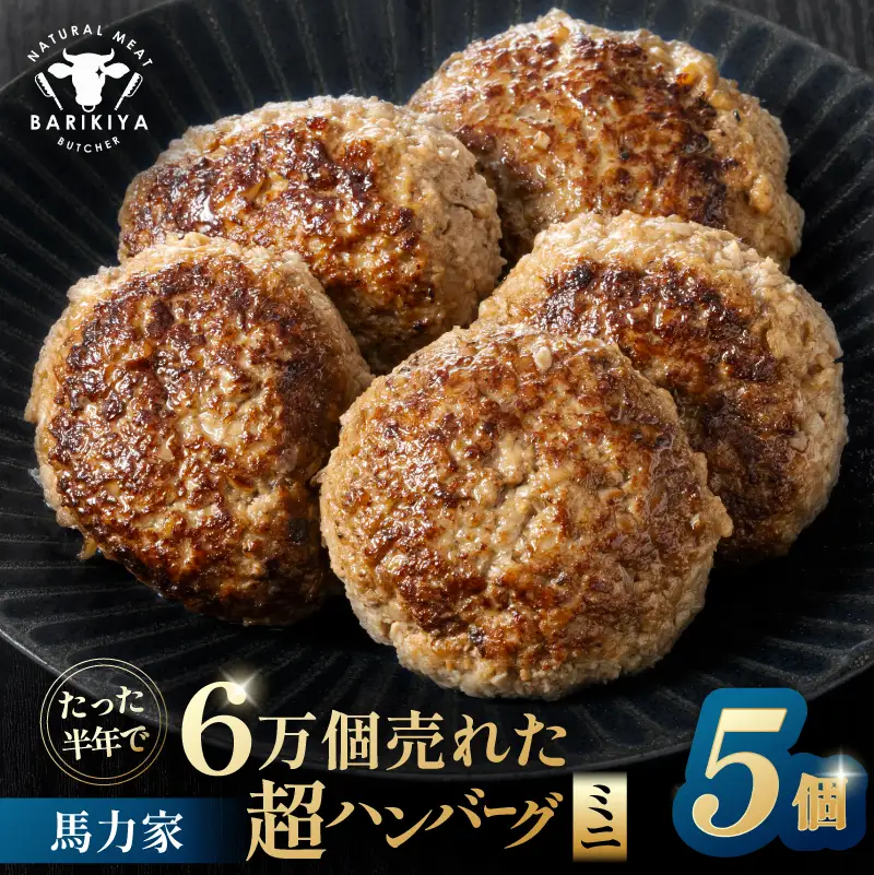 超ハンバーグミニ　5個【0110-018】 飛騨牛