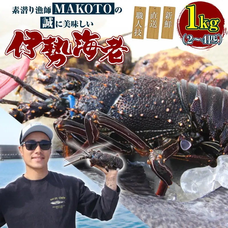 素潜り漁師 MAKOTO の誠に 美味しい 伊勢海老 1kg（ 2～4匹 ） C074-001 魚介類 冷凍 海老 エビ イセエビ