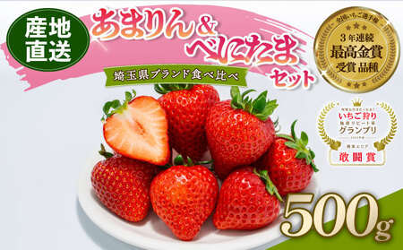 【予約】希少苺 あまりん べにたま 食べ比べ セット 500g いちご 苺 埼玉県 羽生市