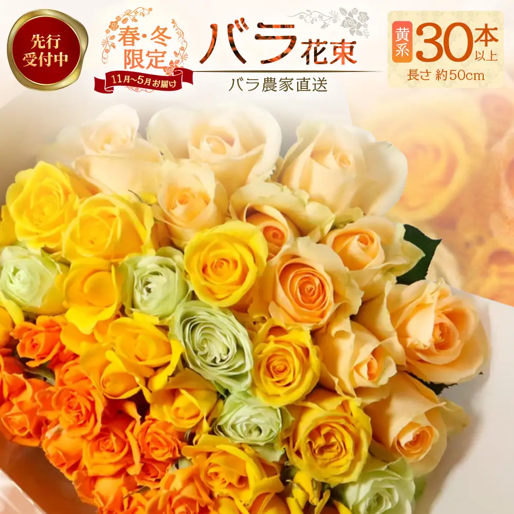 ※先行予約※【日付指定必須・ギフト対応可】ばら農家直送！人気の春・冬薔薇をお届け♪バラ花束30本以上(黄系) TB-15 │ ローズ 新鮮 花 フラワー 花束 ばら 薔薇 バラ 誕生日 記念日 結婚祝い ギフト プレゼント お祝い 贈り物 贈答 鹿児島県 南大隅町 富田バラ園