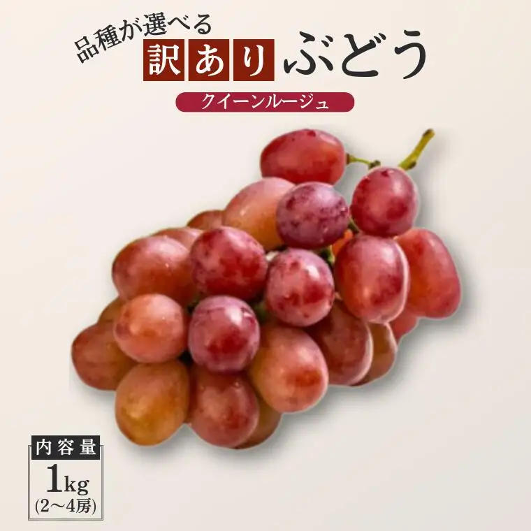 TK20 ぶどう クイーンルージュ® 【家庭用】 約1kg ／2026年9月下旬～10月中 配送予定 // 稀少 新品種 長野県 南信州 松川町産 高糖度 葡萄 クインルージュ 甘い 種なし 皮ごと 訳あり お試し
