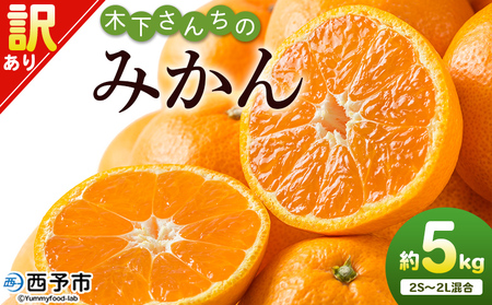 ＜木下さんちのみかん 訳あり 約5kg（2S～2Lサイズ混合）＞ 選べる わけあり 家庭用 柑橘 温州みかん うんしゅうみかん ミカン 蜜柑 果物 くだもの フルーツ 国産 特産品 木下農園 愛媛県 西予市【常温】『2026年11月中旬?12月下旬迄に順次出荷予定』MKS0005