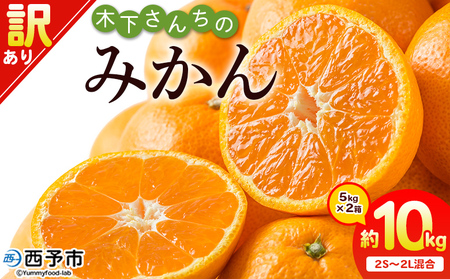 ＜木下さんちのみかん 訳あり 約10kg（2S～2Lサイズ混合）＞ 選べる わけあり 家庭用 柑橘 温州みかん うんしゅうみかん ミカン 蜜柑 果物 くだもの フルーツ 国産 特産品 木下農園 愛媛県 西予市【常温】『2026年11月中旬?12月下旬迄に順次出荷予定』MKS0006