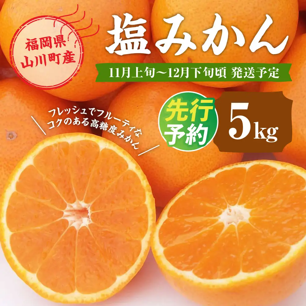 A157 福岡県山川産 塩みかん 5kg 【2026年11月上旬～12月下旬発送予定】 蜜柑 花藻塩