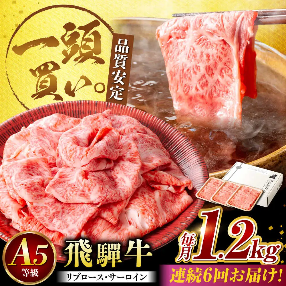【6回定期便】飛騨牛サーロイン・リブロース 1.2kg(400g×3パック) すき焼きしゃぶしゃぶ用肉 [AVBO028] カルビ 牛肉