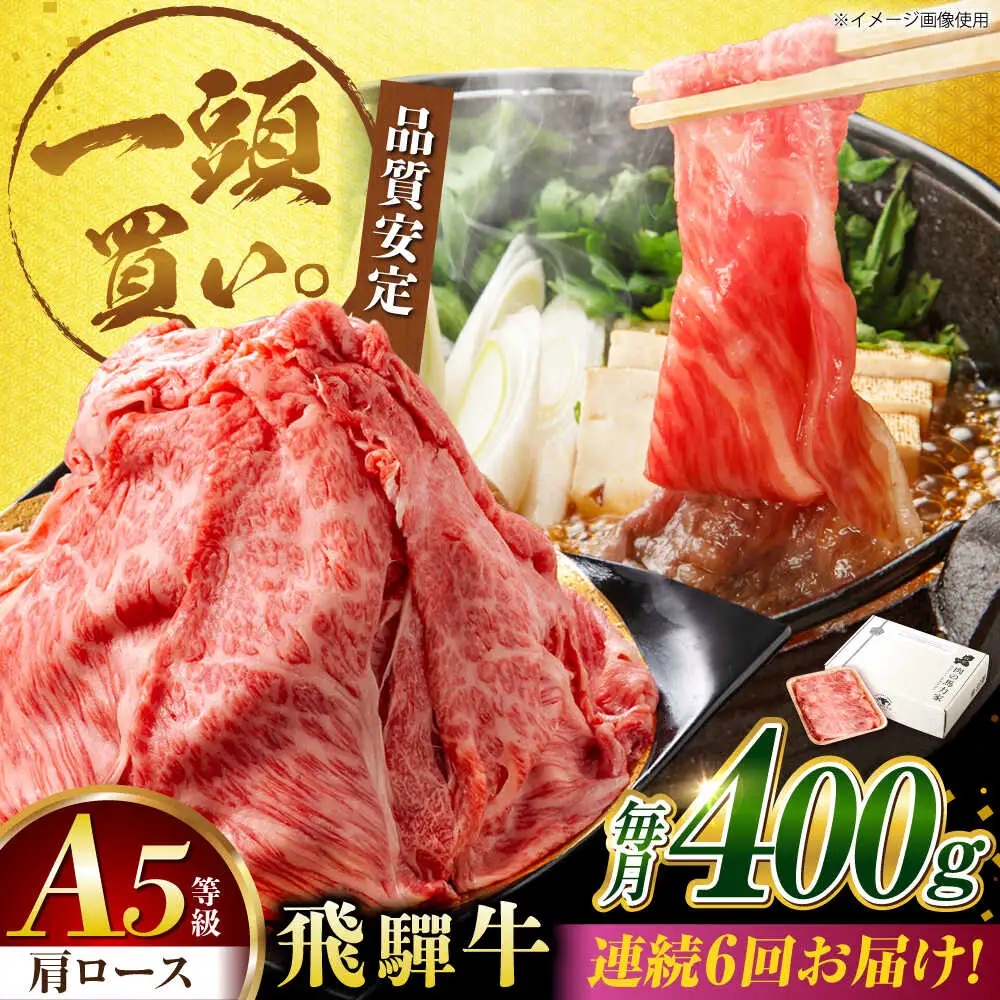 【6回定期便】飛騨牛肩ロース 400g×1パック すき焼きしゃぶしゃぶ用肉 [AVBO031]